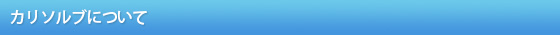 カリソルブについて